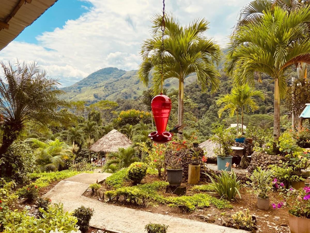 Ecohotel Campo Alegre Norcasia Caldas Bagian luar foto